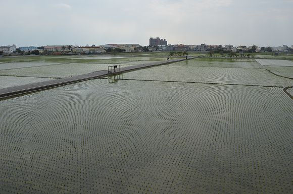 進昌咖啡烘焙館43