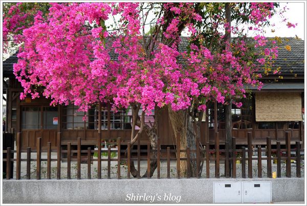 檜意森活村:嘉義‧檜意森活村