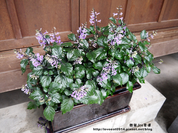 檜意森活村：[嘉義東區]檜意森活村!好好拍的地方~