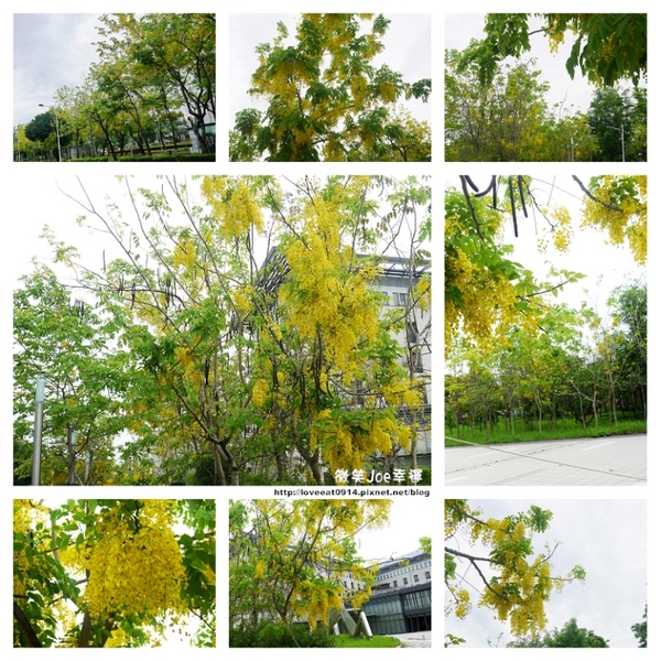 檜意森活村：[嘉義東區]檜意森活村!好好拍的地方~