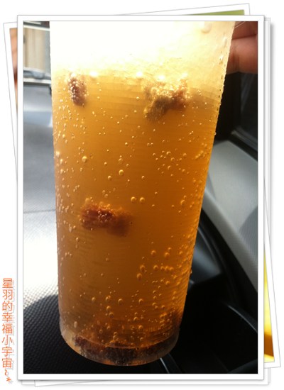 手工汽水:【星羽愛遊玩-嘉義半日遊】維持四十年的古早好味道~手工汽水阿伯。