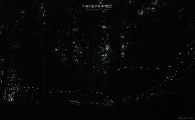 大農大富平地森林園區-7