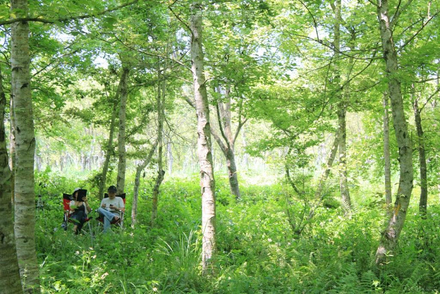 大農大富平地森林園區-11