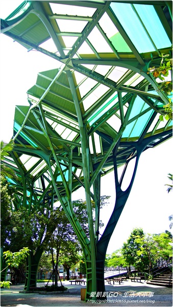 丟丟噹森林:【宜蘭/宜蘭市】城市中的綠地 ♪♪丟丟噹森林♪♪