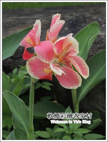 軟橋彩繪社區：新竹。隱藏版的彩虹村【軟橋彩繪社區】