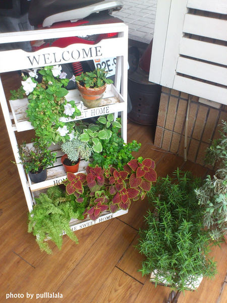 隨意咖啡:隨意就好~~~隨意咖啡