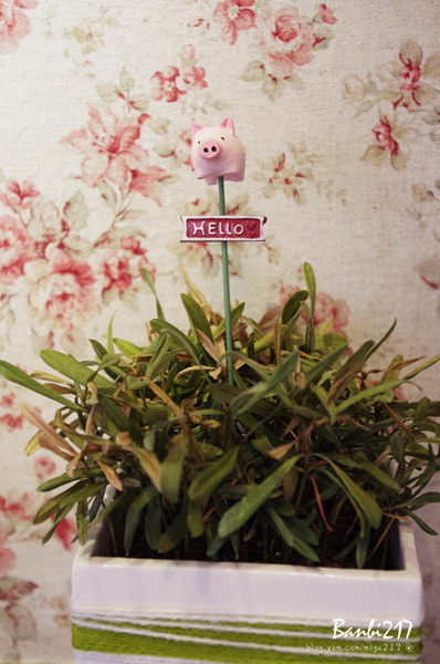 Chef's Waffle 比利時列日鬆餅專賣店(公館店)：Chef's Cafe 比利時鬆餅咖啡館．老房子好有味 (永和四號公園Chef's Waffle 瓦福的公館店)