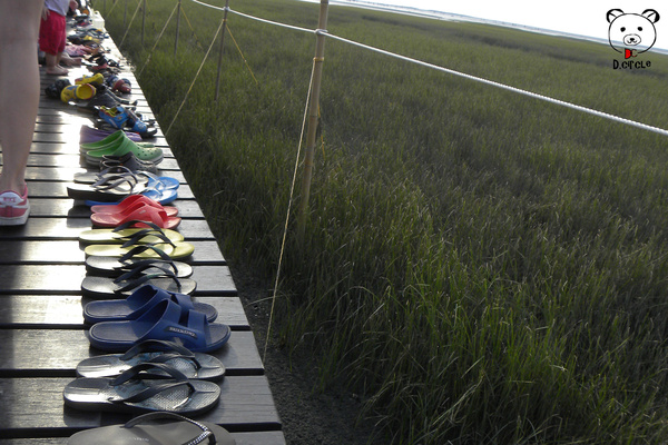 高美濕地:台中●清水區-高美濕地~如詩如夢的夕陽時分~
