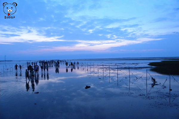高美濕地:台中●清水區-高美濕地~如詩如夢的夕陽時分~