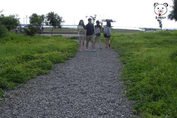高美濕地:台中●清水區-高美濕地~如詩如夢的夕陽時分~