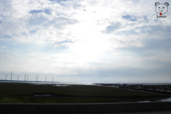 高美濕地:台中●清水區-高美濕地~如詩如夢的夕陽時分~
