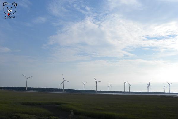高美濕地:台中●清水區-高美濕地~如詩如夢的夕陽時分~