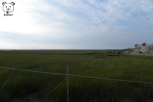 高美濕地:台中●清水區-高美濕地~如詩如夢的夕陽時分~