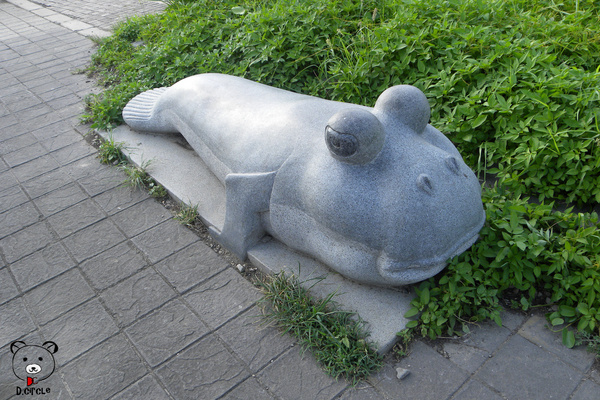 高美濕地:台中●清水區-高美濕地~如詩如夢的夕陽時分~