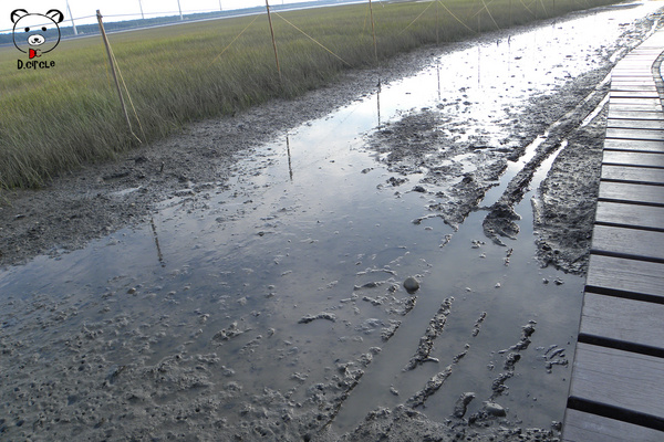 高美濕地:台中●清水區-高美濕地~如詩如夢的夕陽時分~