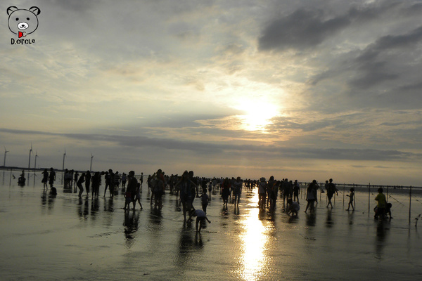 高美濕地:台中●清水區-高美濕地~如詩如夢的夕陽時分~