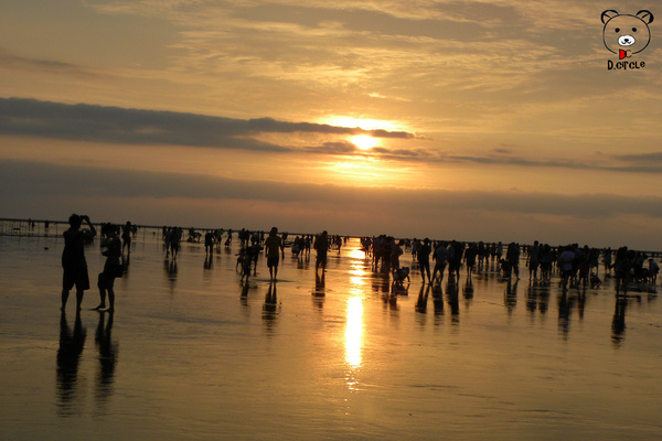 高美濕地:台中●清水區-高美濕地~如詩如夢的夕陽時分~