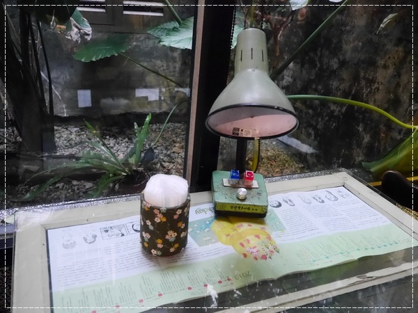 甘樂文創藝文展演空間:【三峽】甘樂文創藝文展演空間-絕對要來吃焦糖香蕉!!!