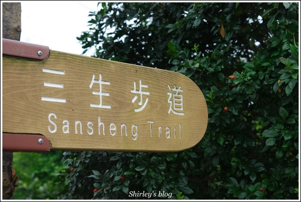 三芝三生步道：三芝.三生步道櫻花真美麗