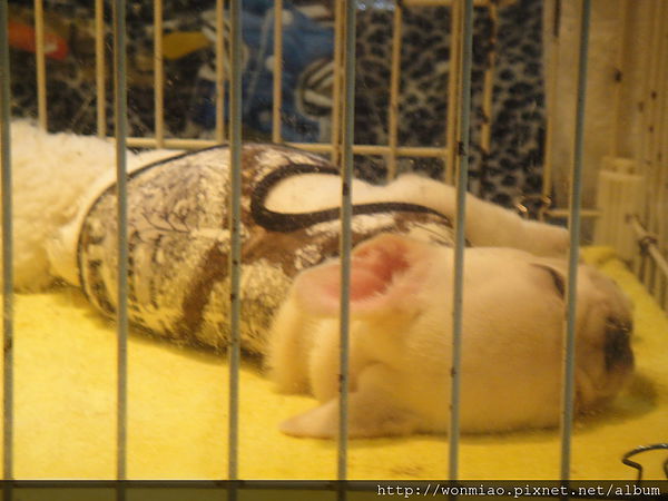 嬉哆司廚房 Shedoes Kitchen：【台北中山】 ★★ 嬉哆司廚房 Shedoes Kitchen ★★