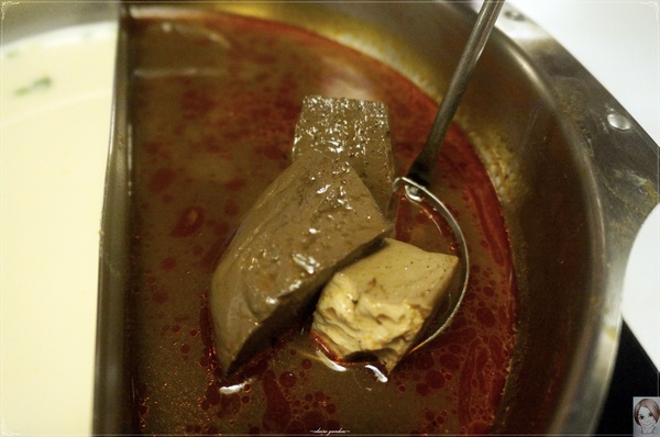 滿堂紅頂級麻辣鴛鴦火鍋(仁愛旗艦店)：[試吃]台北 捷運忠孝敦化站滿堂紅頂級麻辣鴛鴦火鍋(仁愛旗艦店)~大口吃肉&哈根達斯