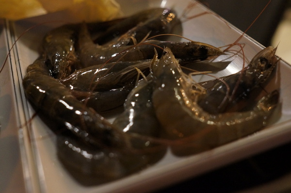 滿堂紅頂級麻辣鴛鴦火鍋(仁愛旗艦店)：(胖樺食記)台北市仁愛路滿堂紅旗艦店。冷颼颼的冬天來此大啖品質優良的肉品及海鮮讓人如至仙境。