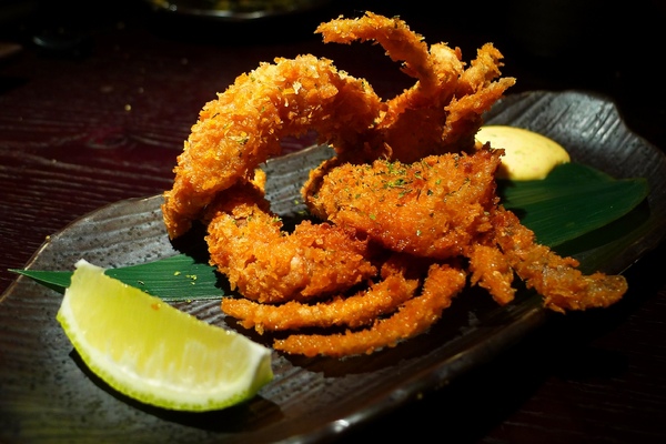 鐵窩 Tamariba：鐵窩 Tamariba