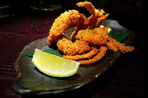 鐵窩 Tamariba：鐵窩 Tamariba