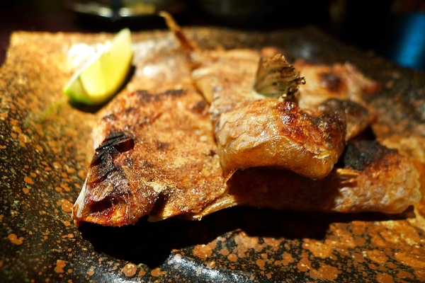 鐵窩 Tamariba：鐵窩 Tamariba