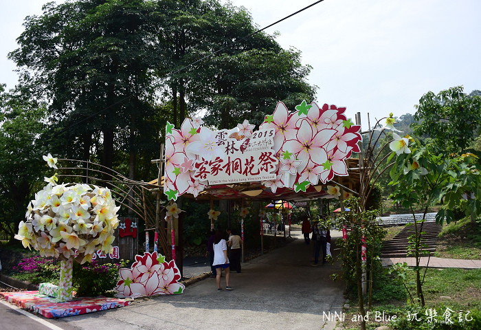 古坑荷苞山油桐花04