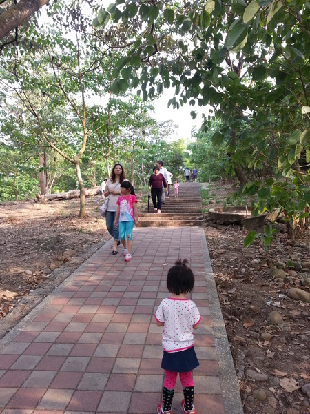 荷苞山桐花公園：[雲林][景點]古坑荷苞山桐花公園~雪白飄飄五月雪