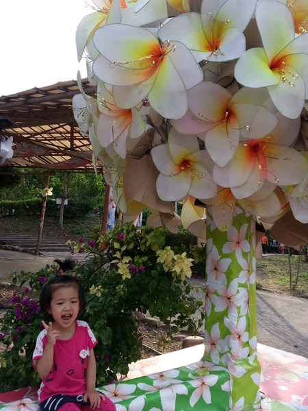 荷苞山桐花公園：[雲林][景點]古坑荷苞山桐花公園~雪白飄飄五月雪