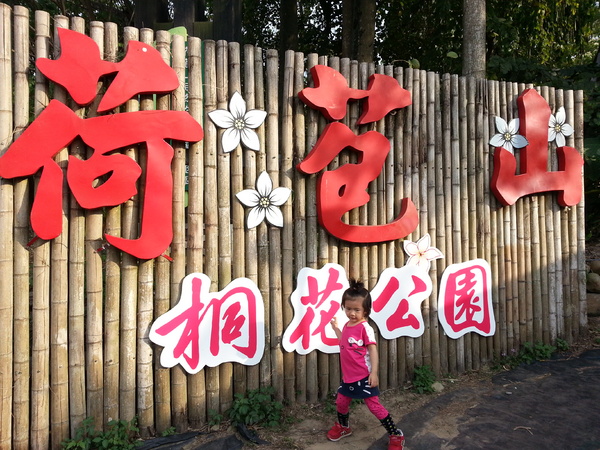 荷苞山桐花公園：[雲林][景點]古坑荷苞山桐花公園~雪白飄飄五月雪