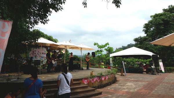 2016客家桐花祭-雲林古坑鄉荷苞桐花公園 (2).jpg