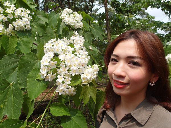 2016客家桐花祭-雲林古坑鄉荷苞桐花公園 (18).JPG