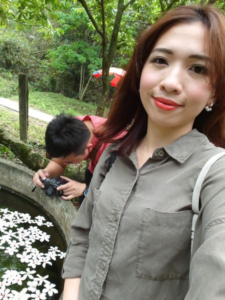 2016客家桐花祭-雲林古坑鄉荷苞桐花公園 (12).JPG