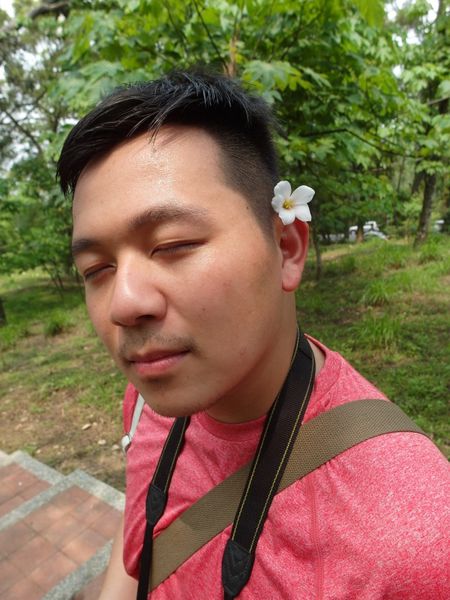 2016客家桐花祭-雲林古坑鄉荷苞桐花公園 (22).JPG