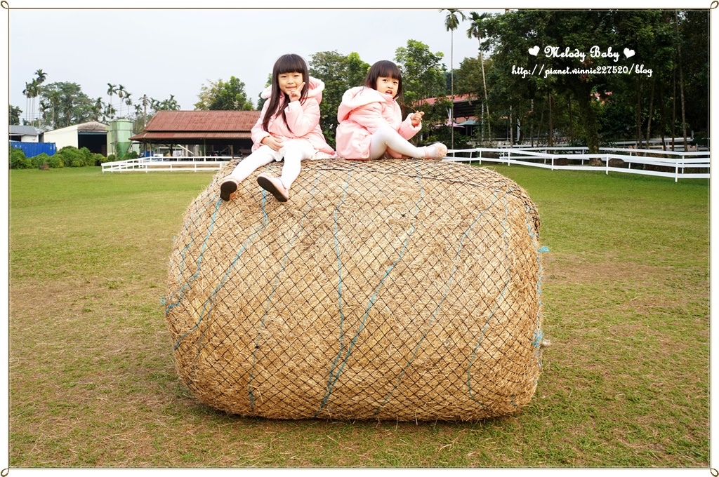 綠盈牧場 (9).JPG