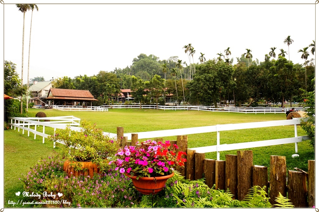 綠盈牧場 (6).JPG