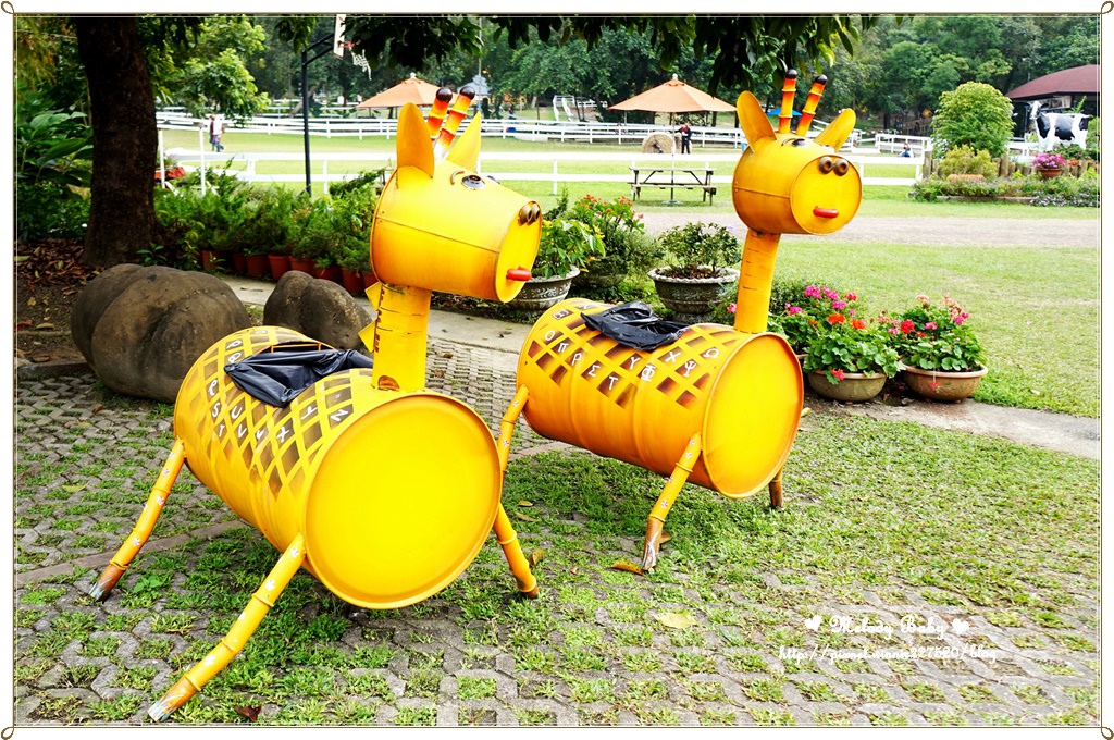 綠盈牧場 (3).JPG