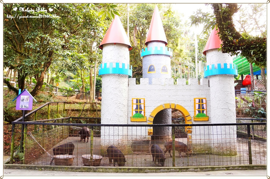 綠盈牧場 (28).JPG