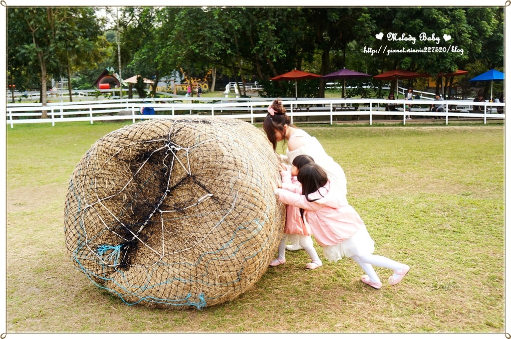 綠盈牧場 (10).JPG