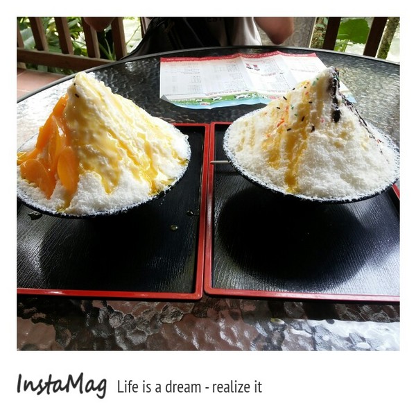 綠盈牧場:賽鵝小遊戲衝衝衝&紅椅子的巨大鳥籠~綠盈牧場