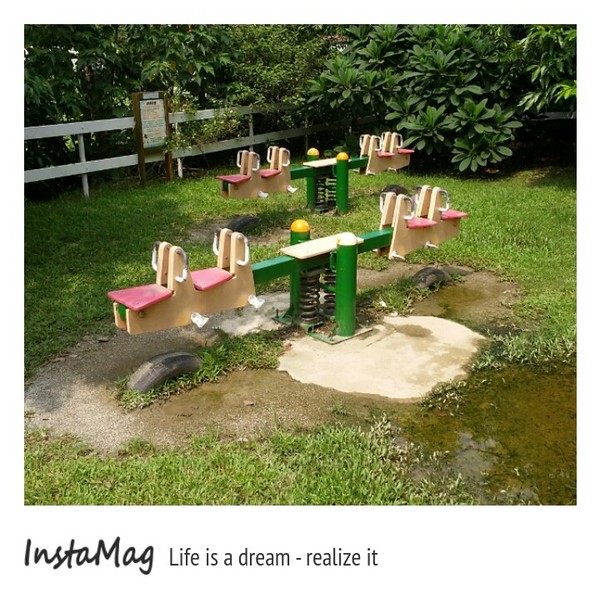 綠盈牧場:賽鵝小遊戲衝衝衝&紅椅子的巨大鳥籠~綠盈牧場