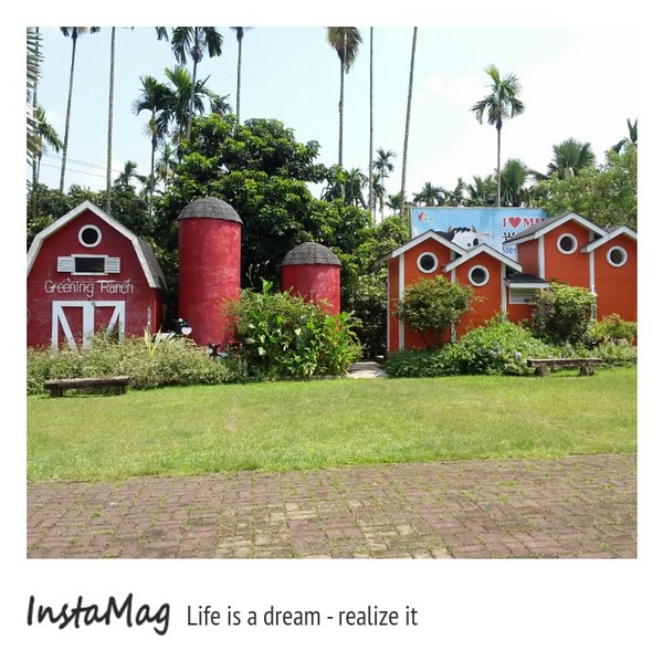 綠盈牧場:賽鵝小遊戲衝衝衝&紅椅子的巨大鳥籠~綠盈牧場