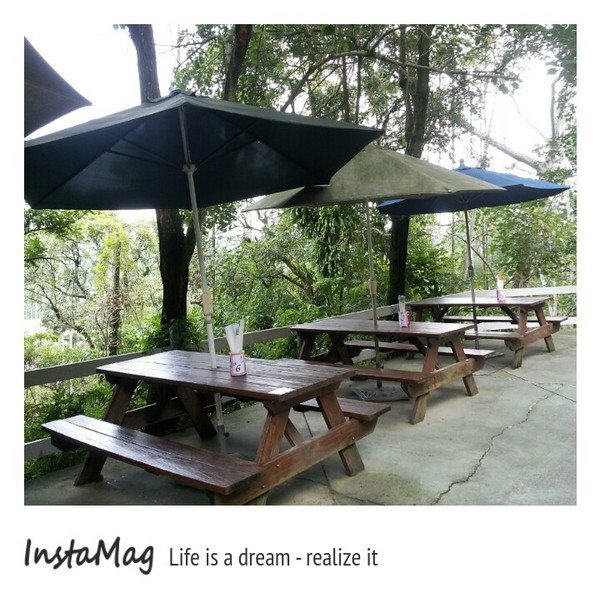 綠盈牧場:賽鵝小遊戲衝衝衝&紅椅子的巨大鳥籠~綠盈牧場