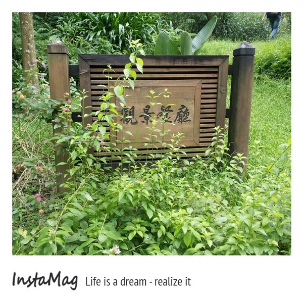 綠盈牧場:賽鵝小遊戲衝衝衝&紅椅子的巨大鳥籠~綠盈牧場