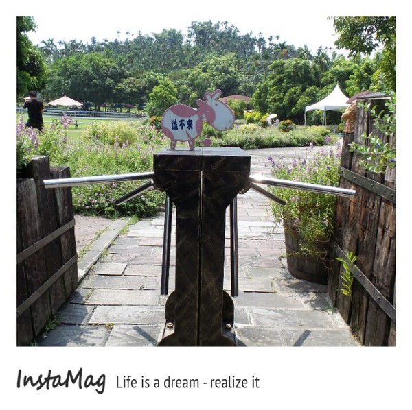 綠盈牧場:賽鵝小遊戲衝衝衝&紅椅子的巨大鳥籠~綠盈牧場