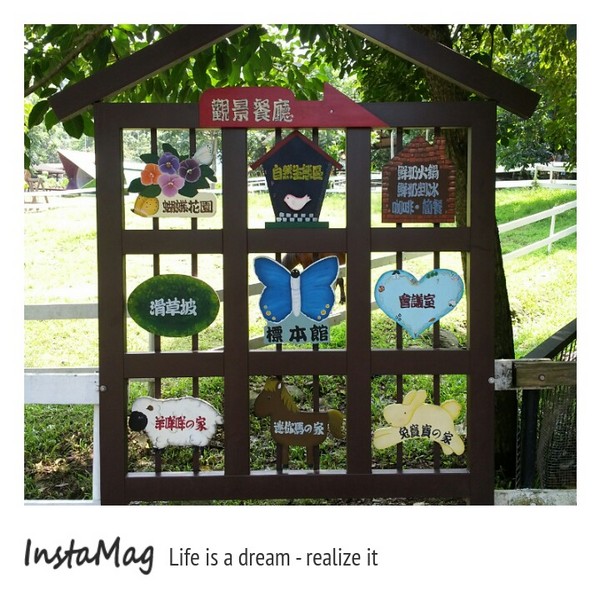 綠盈牧場:賽鵝小遊戲衝衝衝&紅椅子的巨大鳥籠~綠盈牧場