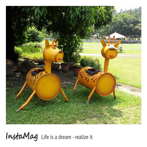 綠盈牧場:賽鵝小遊戲衝衝衝&紅椅子的巨大鳥籠~綠盈牧場